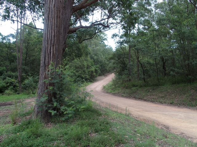 image2.JPG