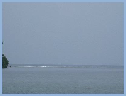 m_IMG_0992