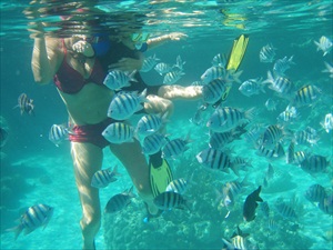 Soldier Cay, Sea Aquarium 018