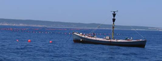 tuna_nets.jpg