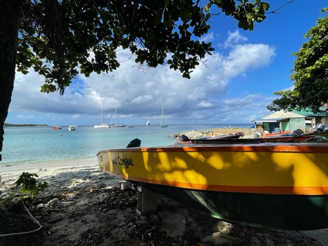 image7.jpeg