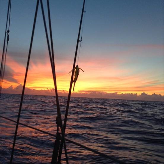 clip_image021