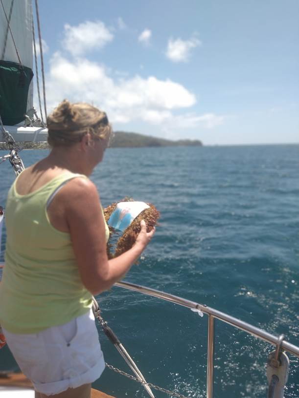 A picture containing person, outdoor

Description automatically generated