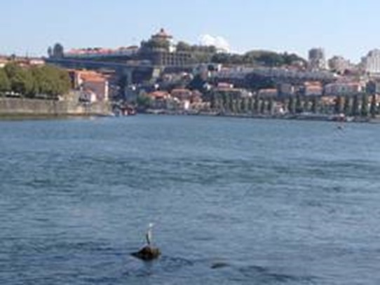 clip_image002