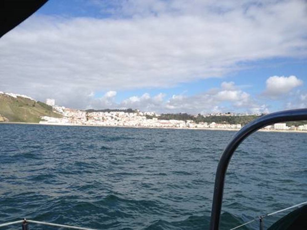 clip_image010