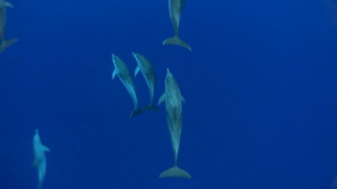clip_image004