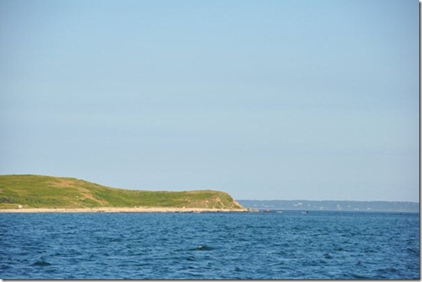 S2_DSC_0900