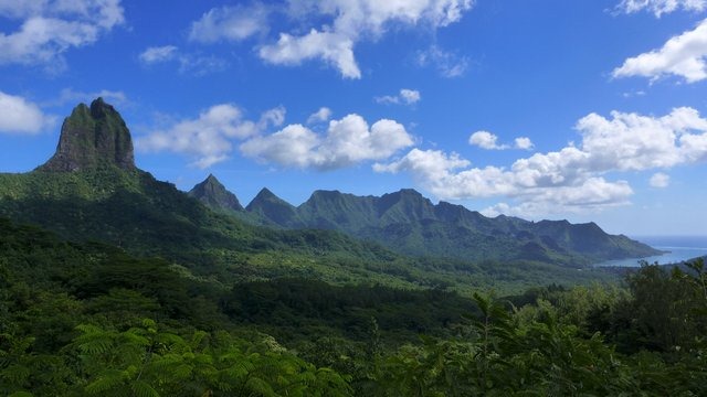 Sea Monkey 2013 view above Oponohu bay