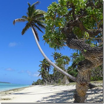 Tonga Haapai_001