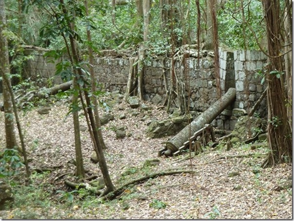 P1070479