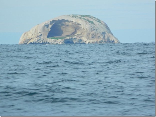 m_DSCN1039