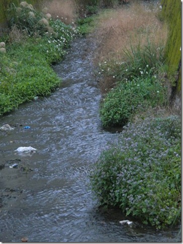 m_dam 019