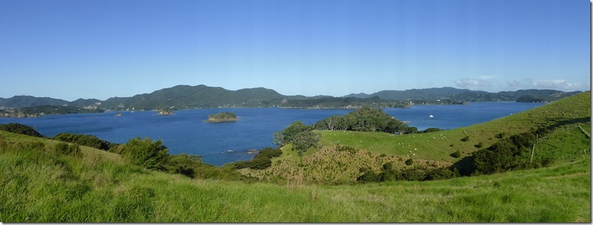 wide view