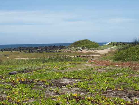 m_Galapagos 8.jpg m_Galapagos 8.jpg