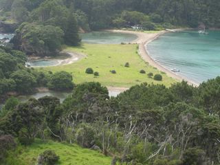 Roberton2.jpg Roberton2.jpg