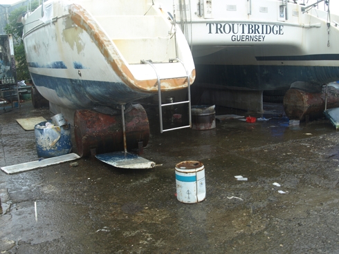 m_PB186539.jpg m_PB186539.jpg