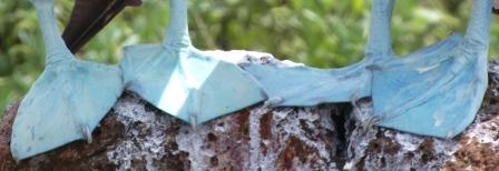 blue1.JPG