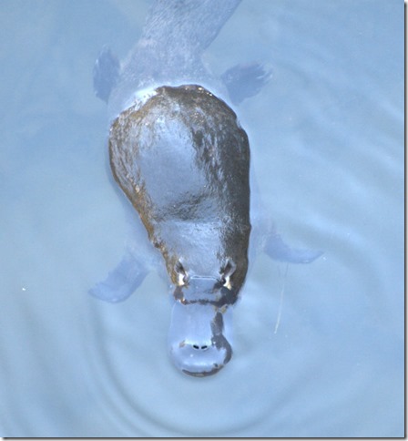 P7193283