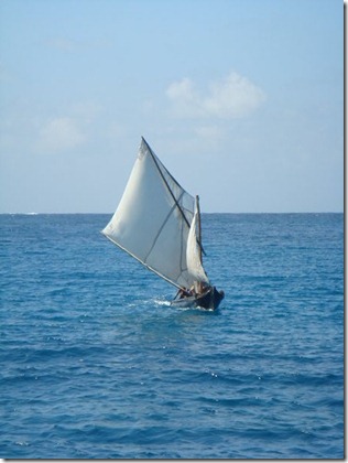 m_DSC09941