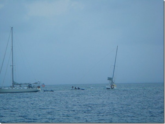 m_DSC00036