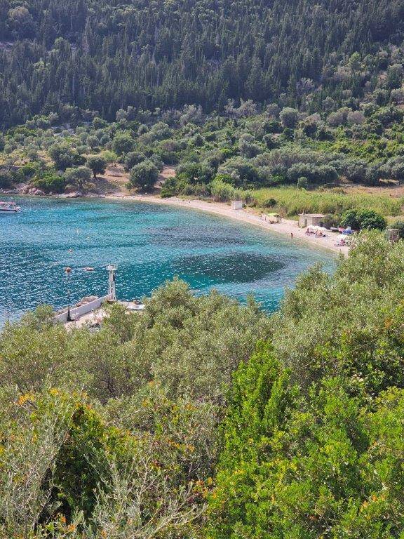 A picture containing outdoor, tree, nature, water

Description automatically generated