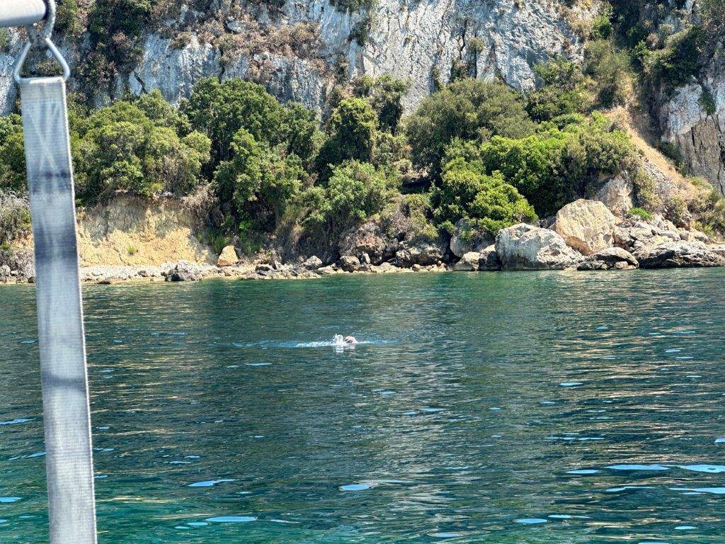 A body of water with trees and rocks

Description automatically generated