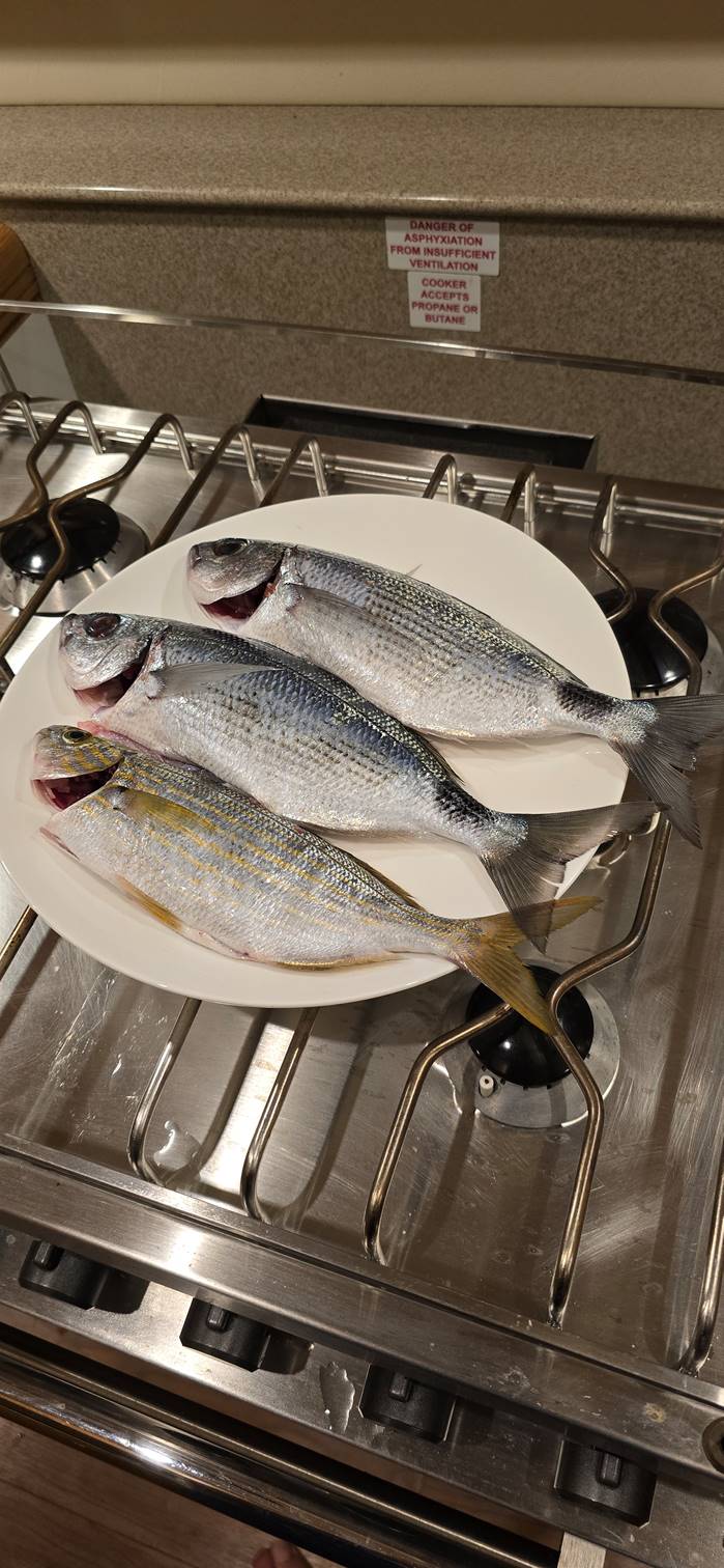 A group of fish on a plate

Description automatically generated