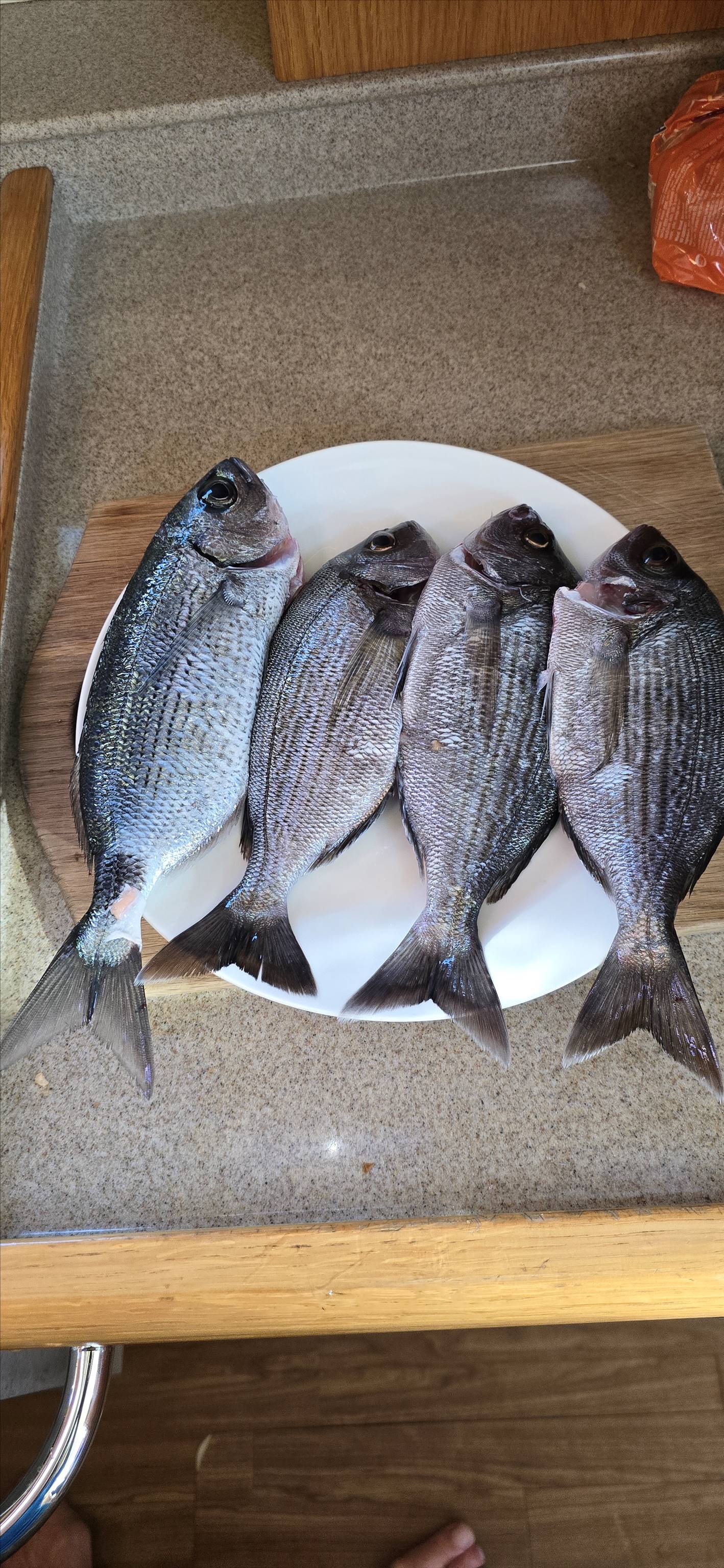 A group of fish on a plate

Description automatically generated