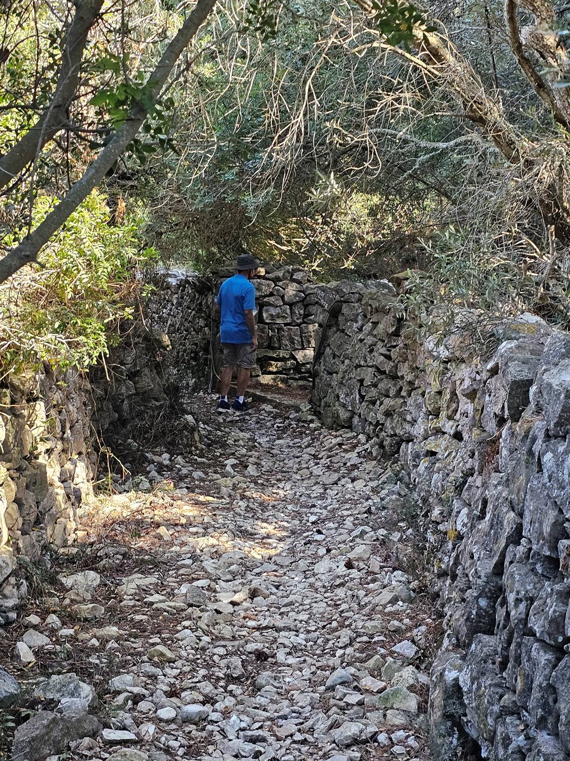 A person standing on a rocky path

Description automatically generated