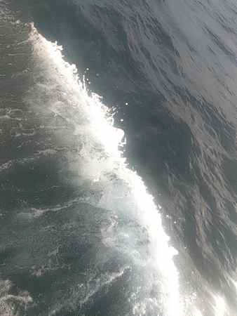 A picture containing water, outdoor, nature, surfing

Description automatically generated