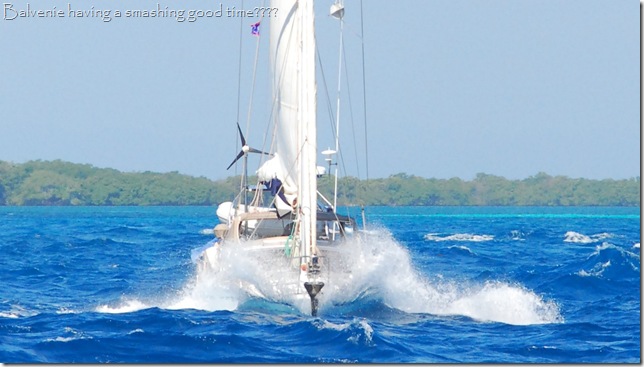 DSC_0491 DSC_0491